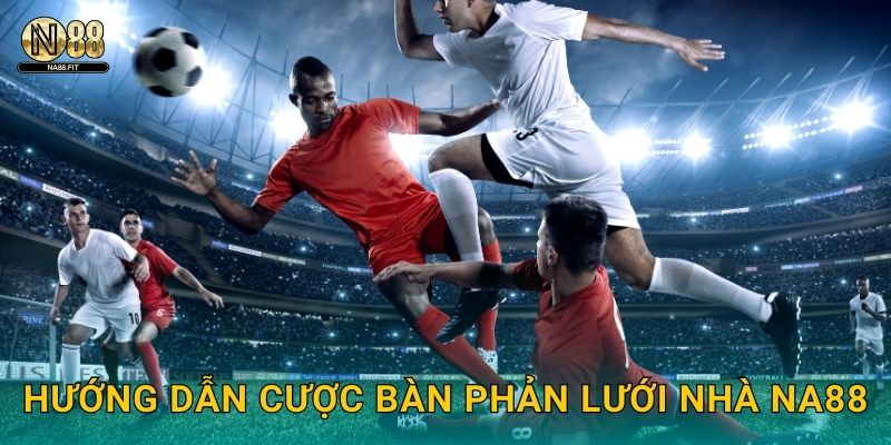 Hướng dẫn cược bàn phản lưới nhà Na88
