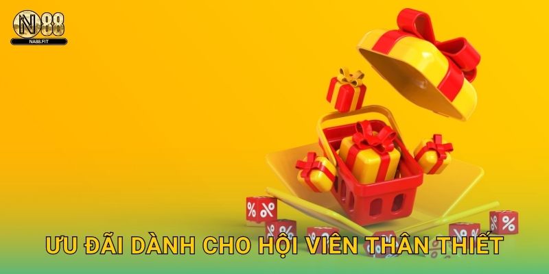 Ưu đãi dành cho hội viên thân thiết